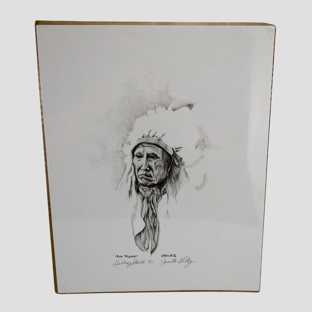 Indian Art Print Iron Plume #12 of 15 by Janelle Gilley Indian Chief Headdress